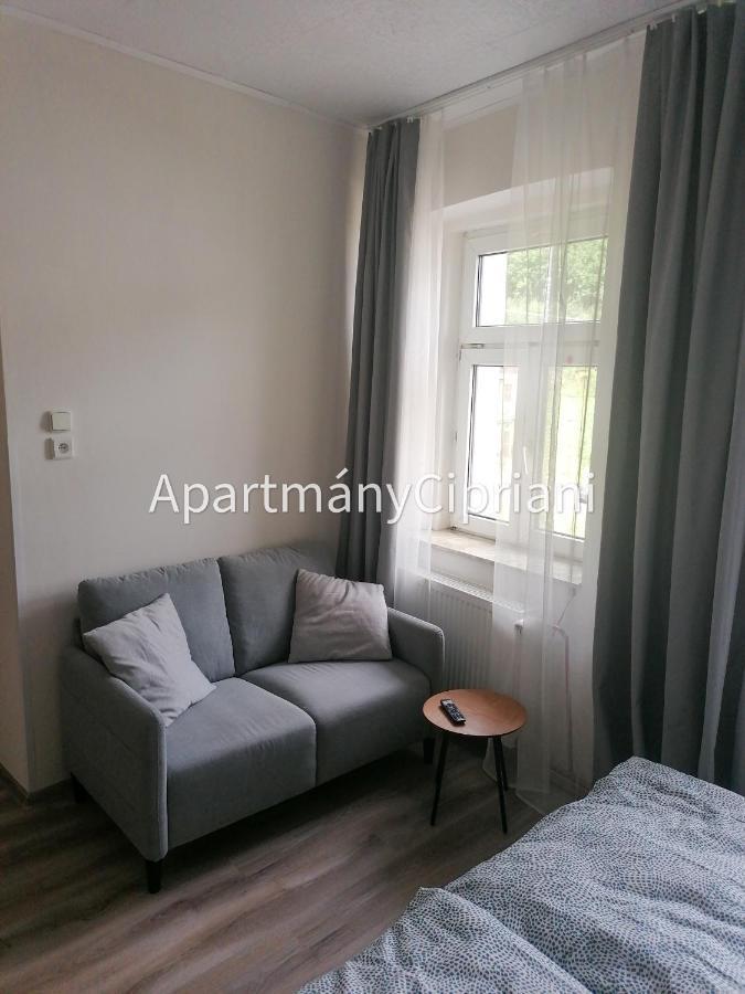Apartmany Cipriani Jáchymov Eksteriør bilde